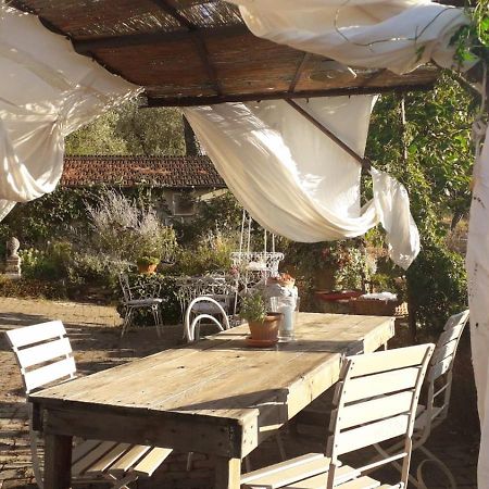 Hotel La Casa Del Maestro Monsummano Terme Zewnętrze zdjęcie