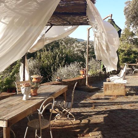 Hotel La Casa Del Maestro Monsummano Terme Zewnętrze zdjęcie